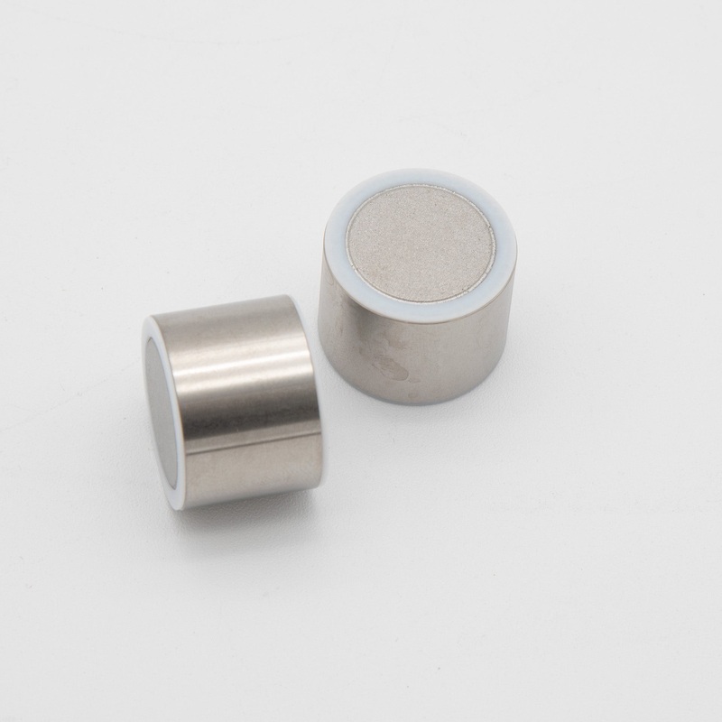 RediSep Prep C18Aq Guard Cartridge (20 mm x 10 mm) – Package of 2