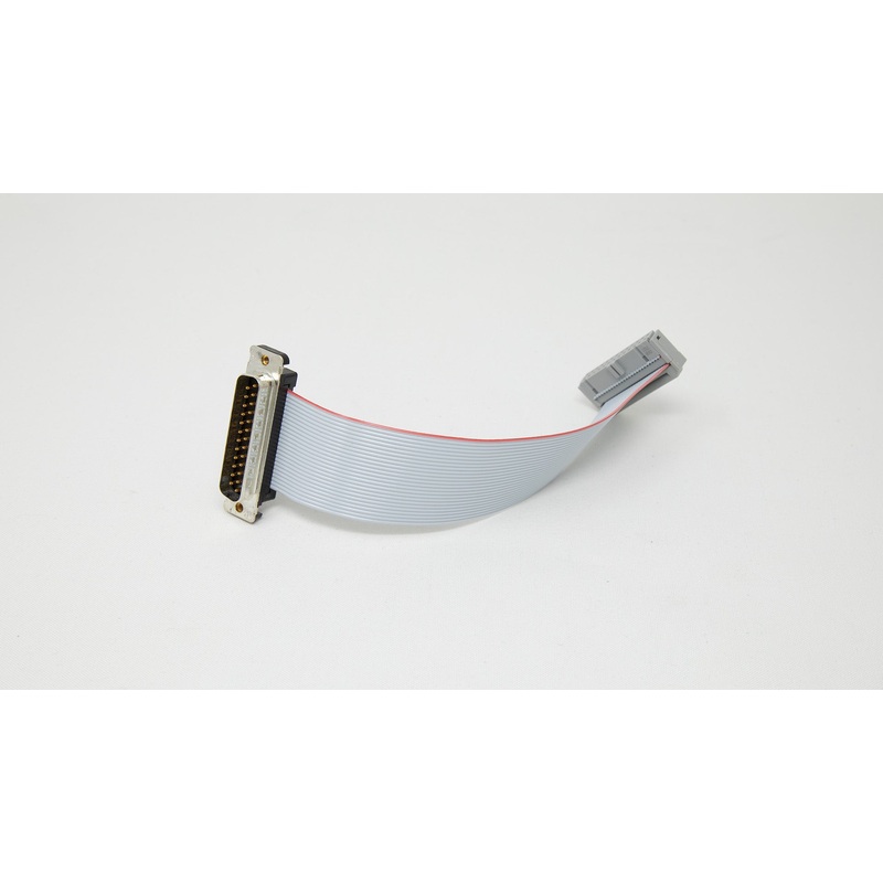 Ribbon Cable Assembly (6.7 Inches)