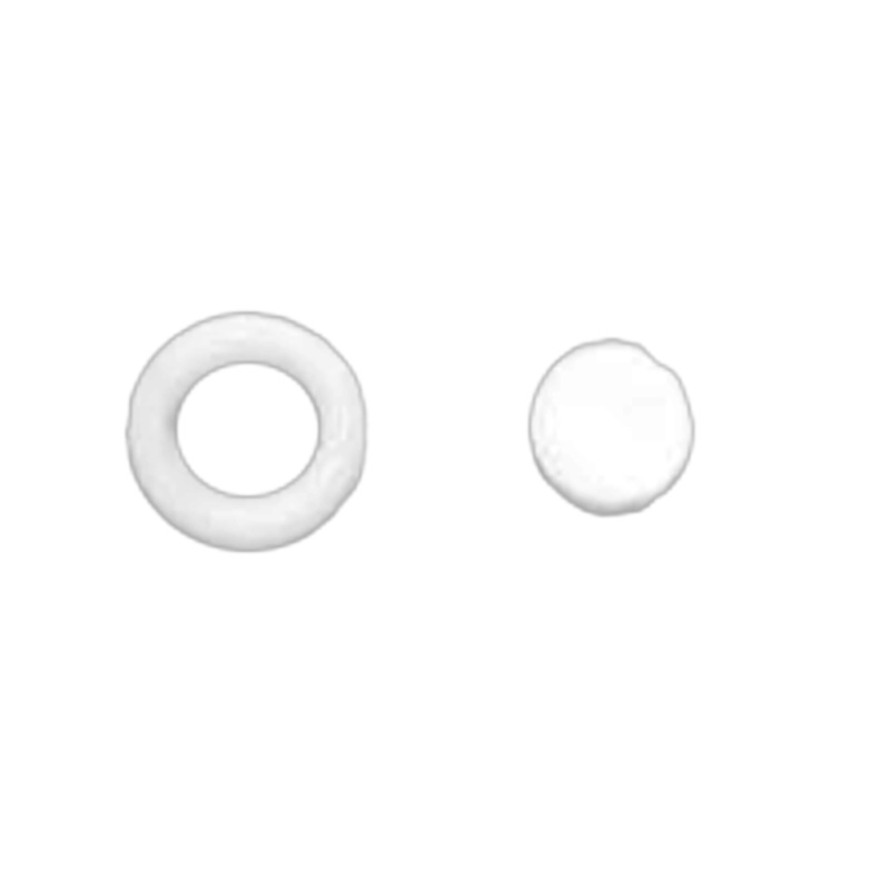 PEEK Outlet Filter (5 Micron)