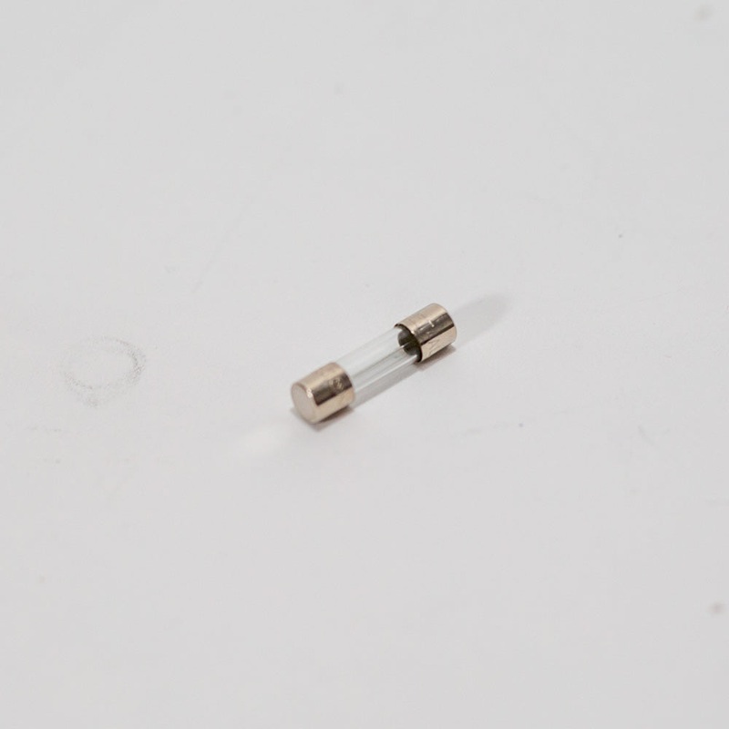 Fuse (4.0 Amp / 250 VAC / T)