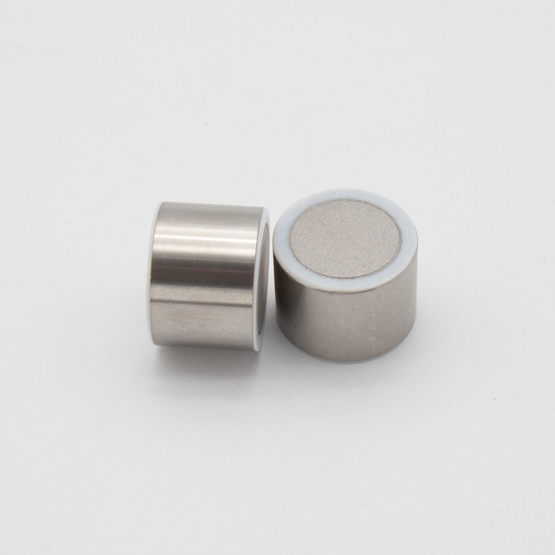 RediSep Prep C18-WCX Guard Cartridge (20 mm x 10 mm) – Package of 2