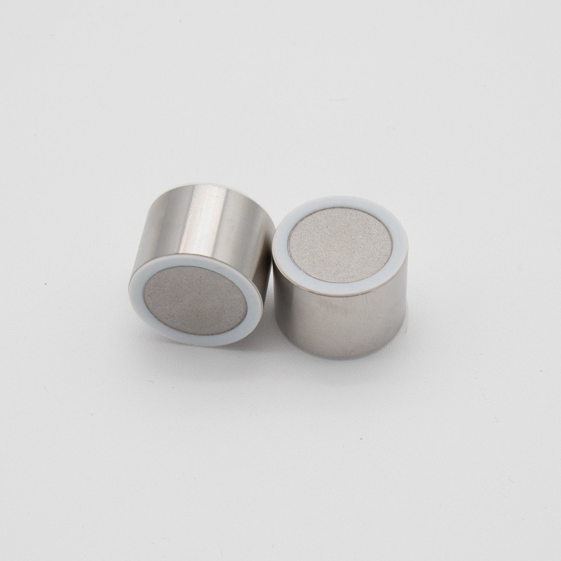 RediSep Prep PEI Guard Cartridge (20 mm x 10 mm) – Package of 2