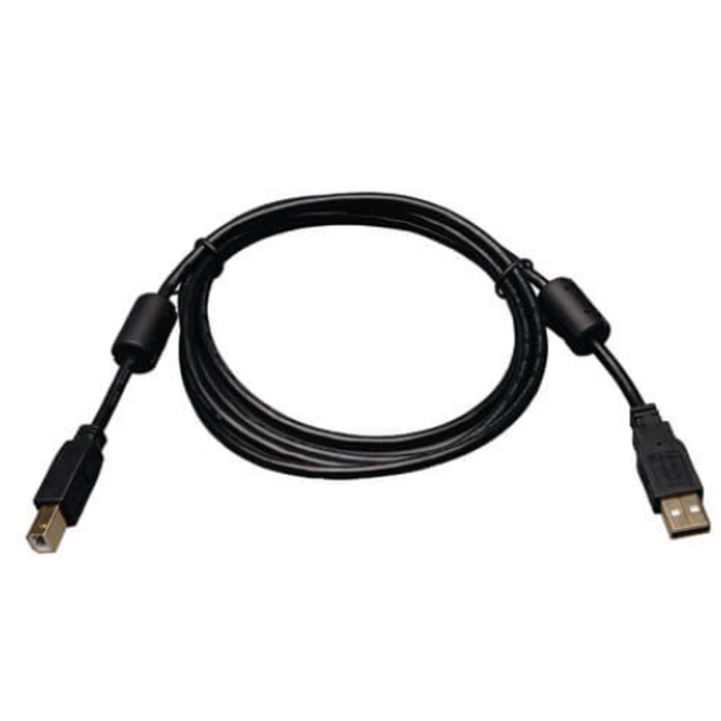 USB Male A to Male B Cable (6 ft.)