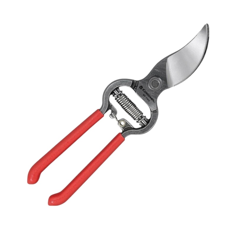 Corona – Max Pruner ClassicCUT