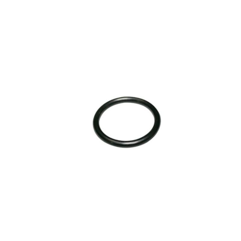 Wilkins – 227N – O-ring for 375, 1  Housing Inlet